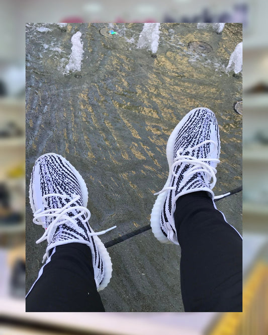 HDD20 Yeezy 350 v2 Zebra